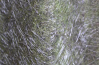 Copmere End fibreglass roof work